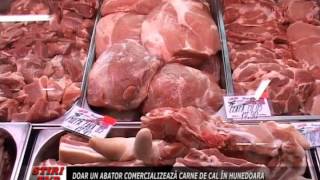 doar un abator comercializeaza carne de cal in hunedoara [upl. by Philcox]