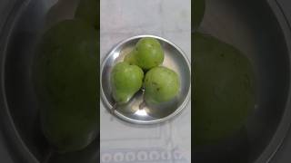 food fruit healthy fruit nashpati🍐🍐🍐 [upl. by Novi109]