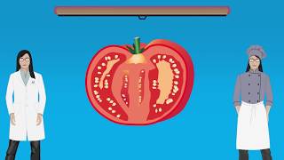 DEMYSTIFIED Are tomatoes a fruit or a vegetable  Encyclopaedia Britannica [upl. by Gutow]