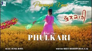 PHULKARI SONG 🎵 PARAMJIT KAUR HOSHIARPUR 2024 [upl. by Harri494]