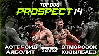 TOP DOG PROSPECT 14 Дмитров  Астероид VS Айболит Отморозок VS Козылбаев [upl. by Madea]