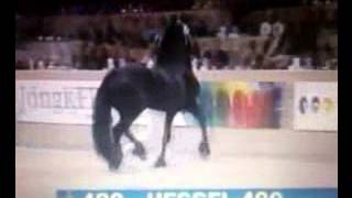 KFPS Friesian Stallion HESSEL 480 Hengstenkeuring 2014 [upl. by Savart615]