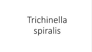 Trichinella spiralis  Parasitology [upl. by Amelie]