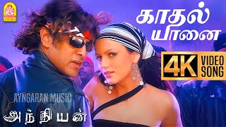 Kadhal Yaanai  4K Video Song  காதல் யானை  Anniyan  Vikram  Shankar  Harris Jayaraj  Ayngaran [upl. by Maccarone]