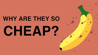 Why Are Bananas So Cheap The Dark History of Bananas [upl. by Dinse]