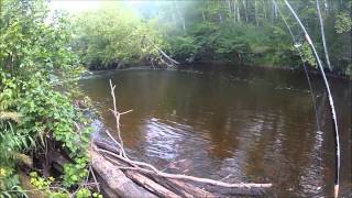 peshtigo river small mouth fishing 2015 [upl. by Maggio]