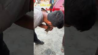 Petrol filter cleaning Etios Low pickup and mileage issue automobile mechanic shorts viral [upl. by Acinorav]