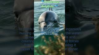 🐬 Bottlenose dolphins Tursiops truncatus ytshorts dolphinsnews ytviral animals wildlife [upl. by Atteuqihc748]