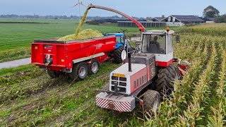 Mais oogst 2024 met STEYR 8300 bij Melkveeb Mts Overgaauw Vergeer 4K [upl. by Ayhtnic]