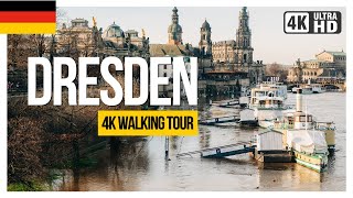 ElbeHochwasser Dresden 🇩🇪 2023 4K Walking Tour Carolabrücke Brühlsche Terrasse [upl. by Harriette]