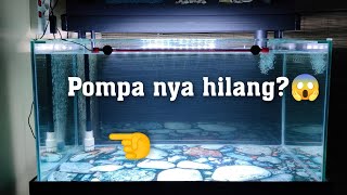 Aquarium dengan sistem pompa tersembunyi [upl. by Klingel]