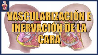 ANATOMÍA  VASCULARIZACIÓN E INERVACIÓN DE LA CARA [upl. by Nehepts30]