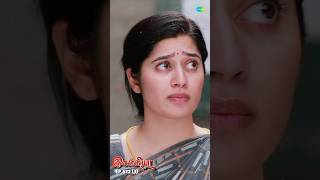 Ilakkiya Serial Shorts  Ep 622  3  Shambhavy Nandhan Sushma Nair  ytshorts shorts [upl. by Zelle]