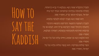 How to Say the Mourners Kaddish  The Jewish Prayer of Mourning [upl. by Fifi647]