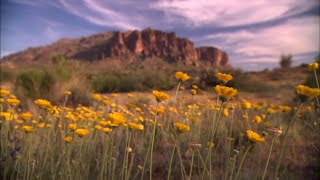 Arizona Highways TV  Mar 9 2019 Episode [upl. by Kieger]