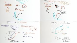 Pharmacology6PharmacodynamicsAgonistAntagonistPotencyEfficacyAfSoomaali [upl. by Godspeed]