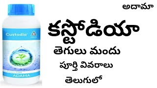 Custodia fungicide full details in telugu by httpswwwyoutubecomcinnovativefarmingtelugu [upl. by Esinad]