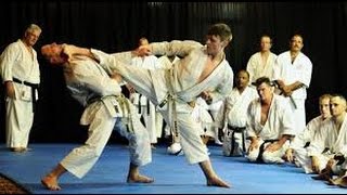 TOP 10 KARATE KNOCKOUTS [upl. by Ahsinel]