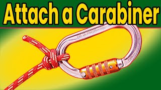 How to attach a carabiner to a rope Tree climbing carabiner knots [upl. by Katzir]