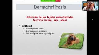 “Diagnóstico en clínica de dermatofitosis en perros y gatos” [upl. by Celine]