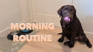 LABRADOR PUPPYS MORNING ROUTINE [upl. by Hareema]