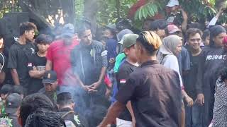 Meh G3G3R Tresno Budoyo Live Kelir kec Kalipuro kab Banyuwangi [upl. by Melcher]