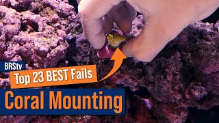 Adding New Corals To Your Reef Tank Avoid These Mistakes At All Costs [upl. by Engamrahc]