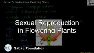 Sexual Reproduction in Flowering Plants Biology Lecture  Sabaqpk [upl. by Bunnie555]