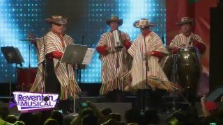 Reventón Musical Guacharacos de Colombia quotCumbia de los Kissquot [upl. by Crockett]