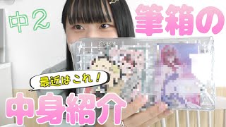 【筆箱紹介】抜き打ち検査します！！これって学校NGじゃないの？結局使ってるのって何本？？ [upl. by Hittel]