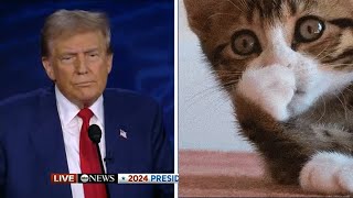 Trump thinks people are eating pets [upl. by Eniluqcaj405]