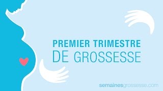 Premier trimestre de grossesse  La grossesse trimestre par trimestre [upl. by Domella]