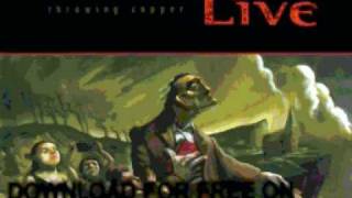 live  White Discussion  Throwing Copper [upl. by Hilary]