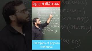 Trick to learn examples of phylum mollusca  Govind yadav  NEET 2025  Shorts [upl. by Ellecrad]