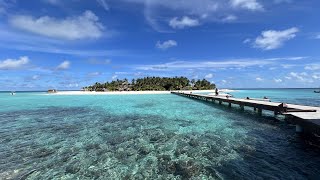 Banyan Tree Vabbinfaru The Maldives  Rustic Travel [upl. by Einaoj534]