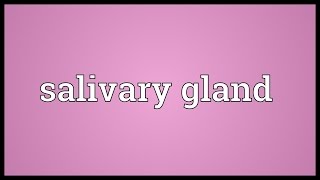 Salivary gland Meaning [upl. by Sevart]