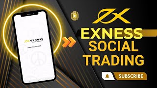 Hướng Dẫn Cách Sử Dụng Exness Social Trading [upl. by Marutani]