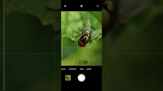 😍Adcom 12X zoom😱 lens micro Mobile Photography shortsfeed photography shortsfeedmobilecapture [upl. by Nnahtebazile]