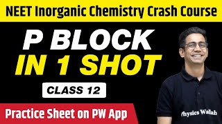 P BLOCK in 1 Shot  All Concepts Tricks amp PYQs  Class 12  NEET [upl. by Lepp]