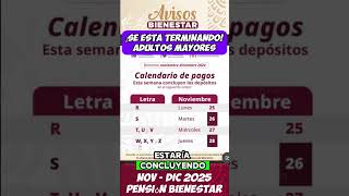 ya se termino el Calendario de pagos del bimestre NOV  DIC adultos mayores de la pensión bienestar [upl. by Raseda]