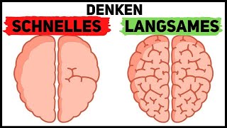 Schnelles Denken Langsames Denken  Daniel Kahneman [upl. by Hetty]