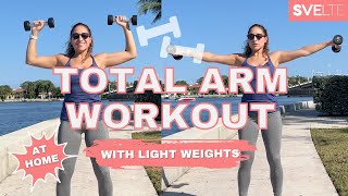 Standing Arm Workout  Light Dumbells [upl. by Eicul]