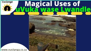 uVuka wase lwandle Magical Uses [upl. by Kerrin]