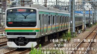 【発車メロディー】茅ヶ崎駅56番線発車メロディー希望の轍 発車メロディー 茅ヶ崎駅 希望の轍 [upl. by Lonier211]