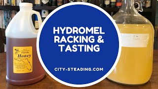 Hydromel Mead Tasting  Any Good [upl. by Chessy]