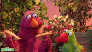 Sesame Street Math is Everywhere  Preview 3 [upl. by Clymer]