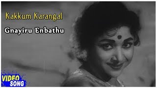 SSR Vijayakumari Hits  Gnayiru Enbathu Song  Kaakum Karangal Tamil Movie  K V Mahadevan [upl. by Ojeillib]