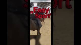 „Easy Sport” horse konie edit horsefan equestrian pony kucyk [upl. by Claiborn715]