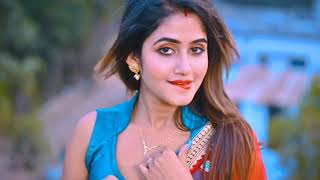 Misti Roy Song New Video Song latest Punjabi Song [upl. by Anomer]