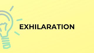 What is the meaning of the word EXHILARATION [upl. by Haron16]